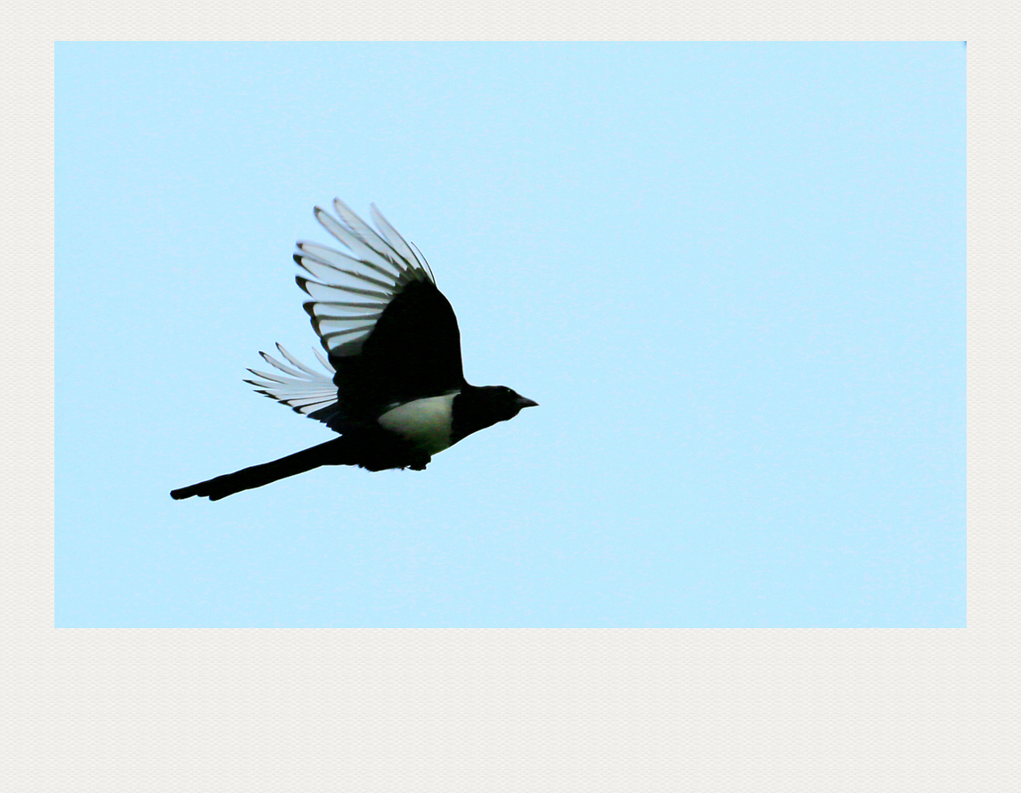 4F9A5094  1024 . 996K.jpg