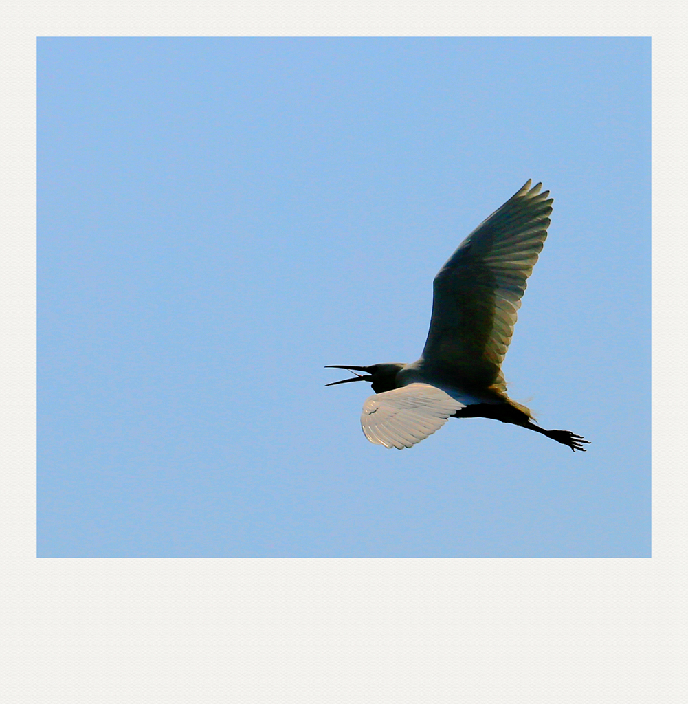 4F9A5308 1024__ 807K.jpg