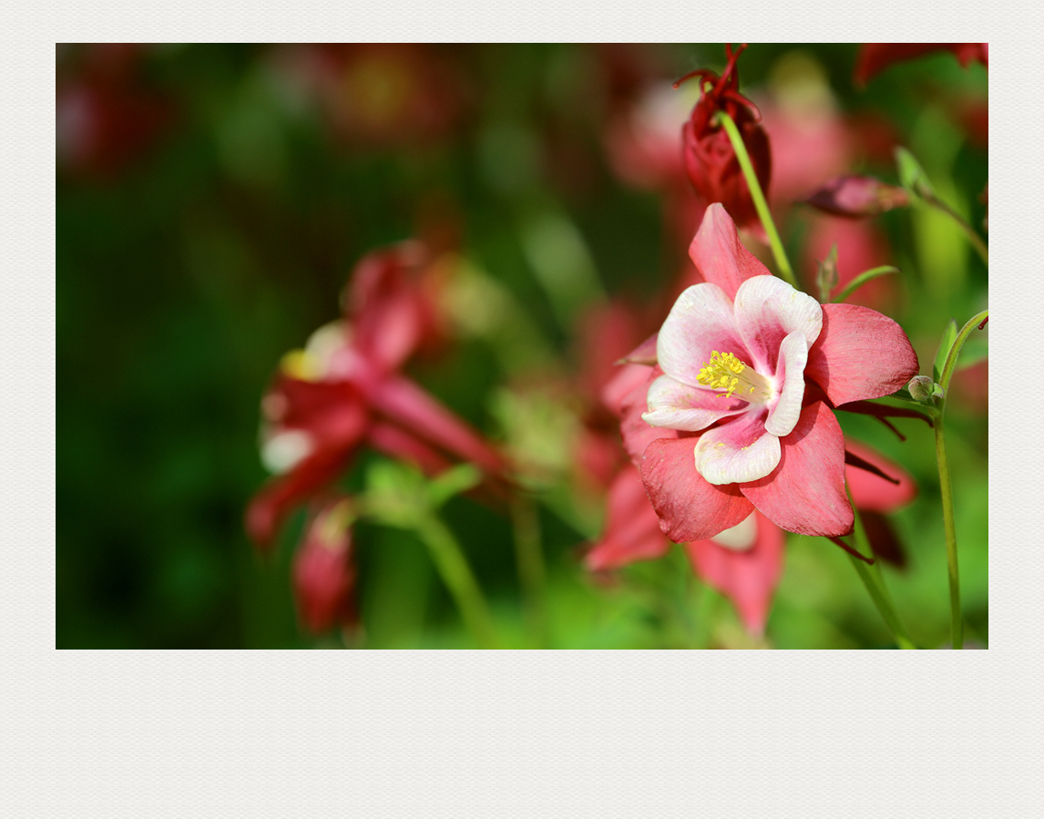 4F9A5123_ 1024_ 891K.jpg