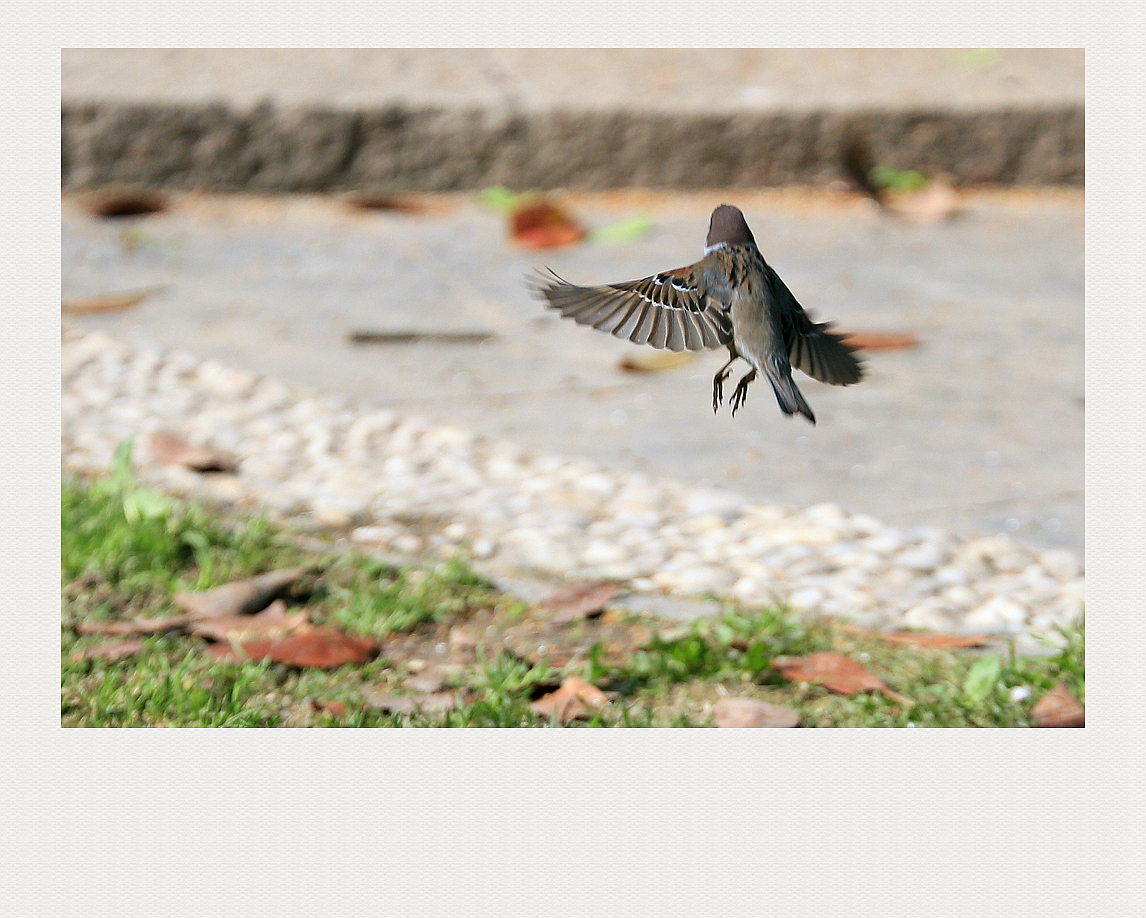 4F9A4897_ 1024    823K_.jpg