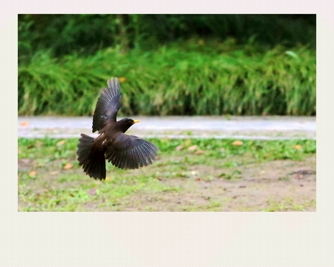 4F9A4391_  1024 877K.jpg