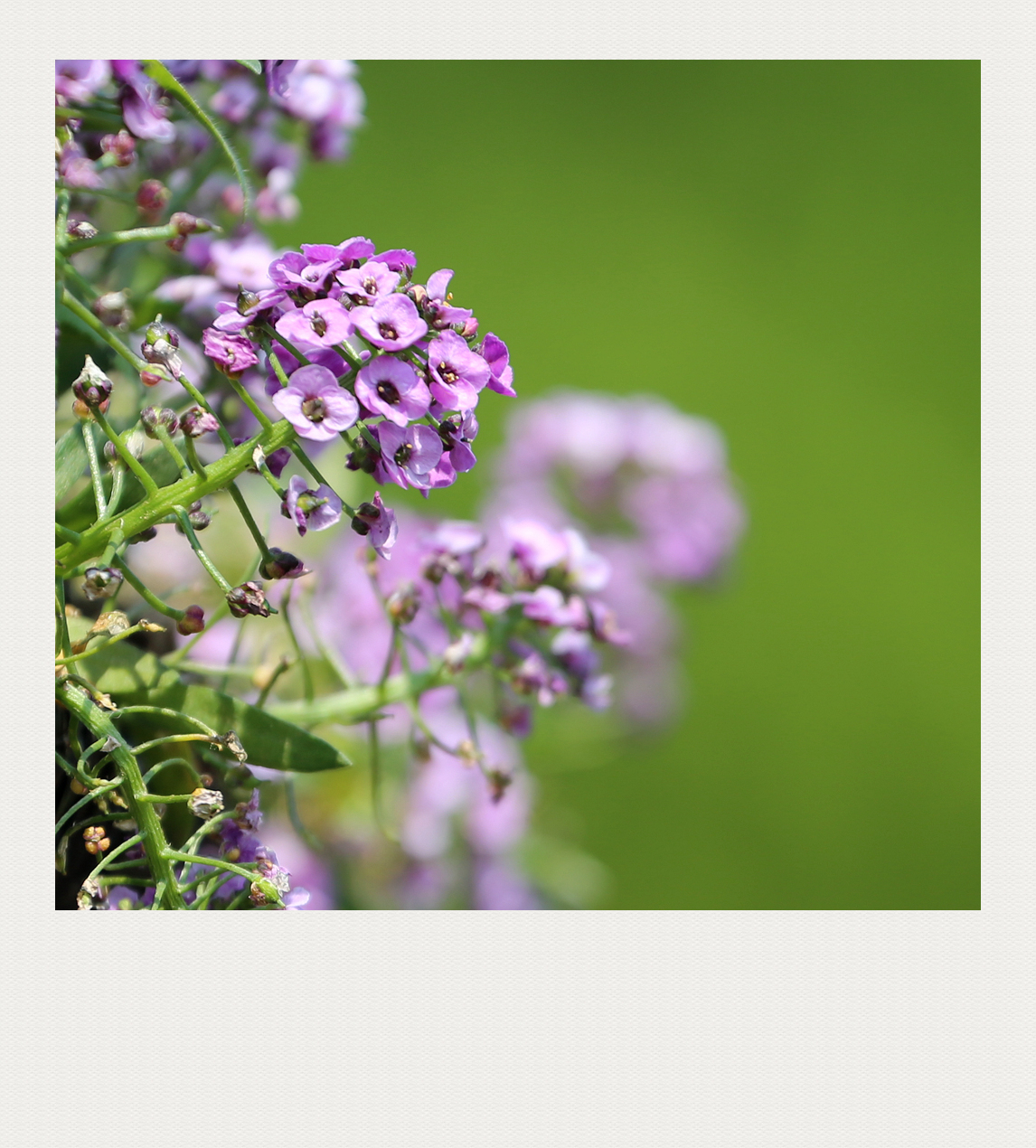 4F9A5439_  1024_ 971K.jpg