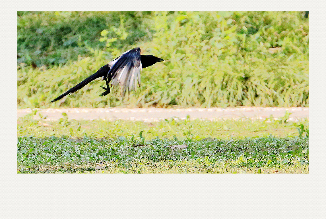 4F9A4749_ 1024 ...866K_.jpg