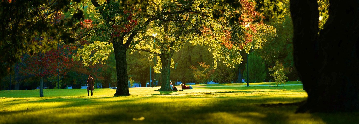 墨尔本皇家植物园