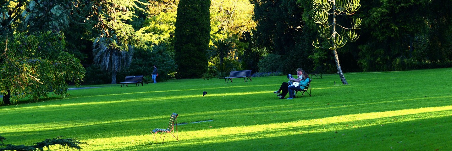 墨尔本皇家植物园