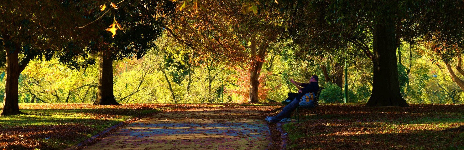 墨尔本皇家植物园