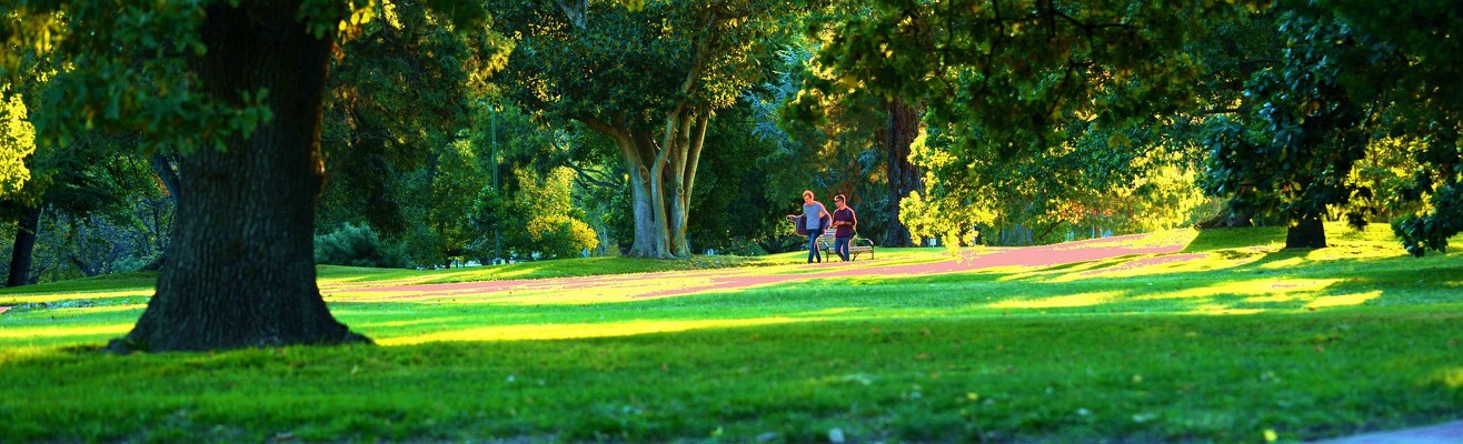 墨尔本皇家植物园