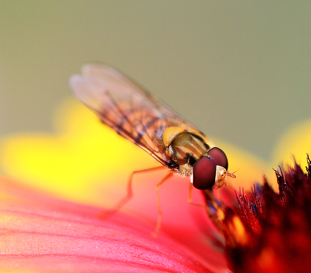 4F9A0558_ .. 715K.jpg