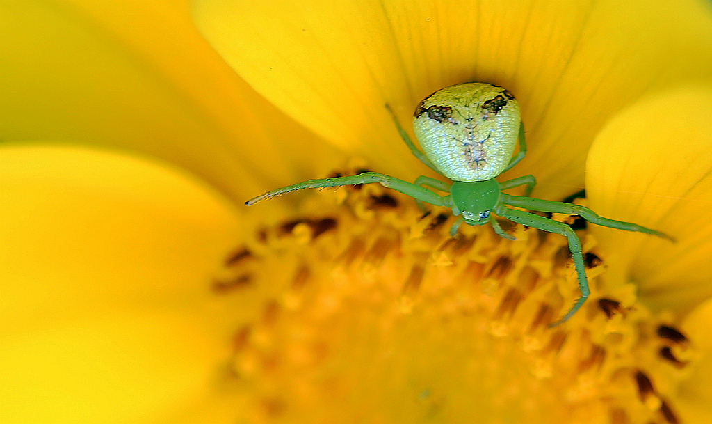 4F9A0323_ .. 732k_副本.jpg