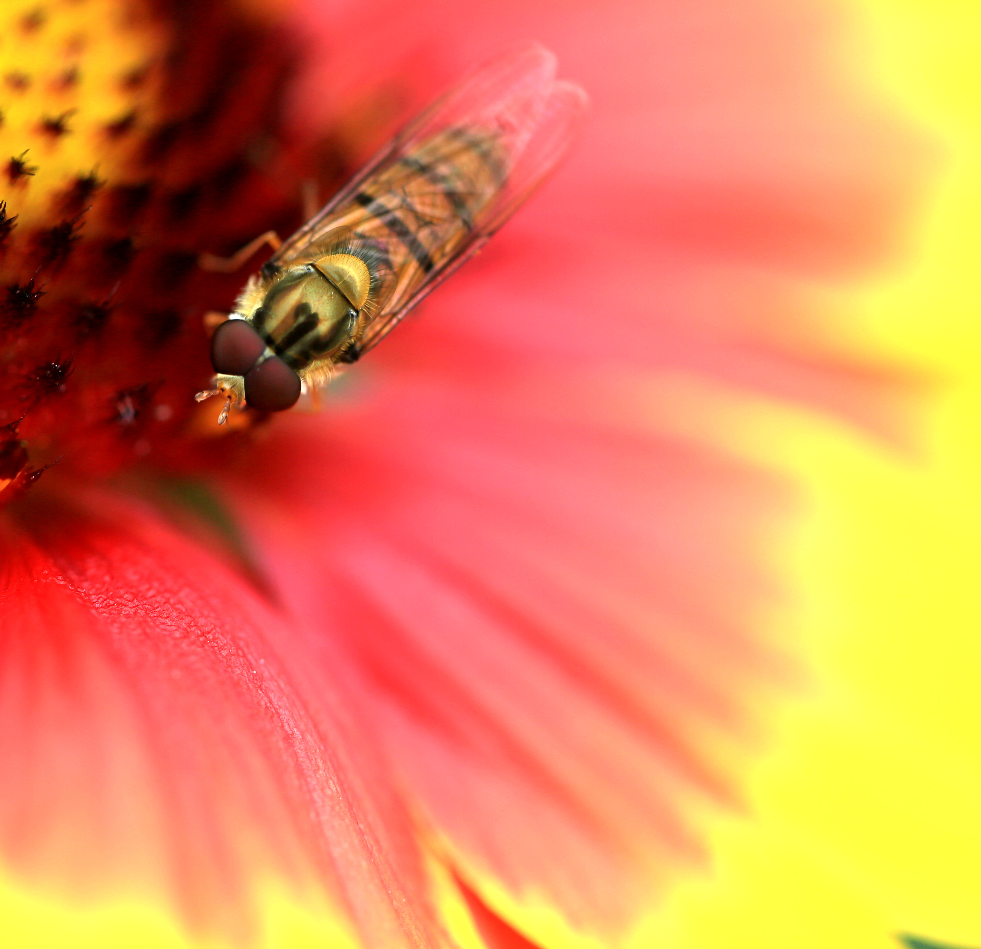 4F9A0570_ 1.03 m.jpg