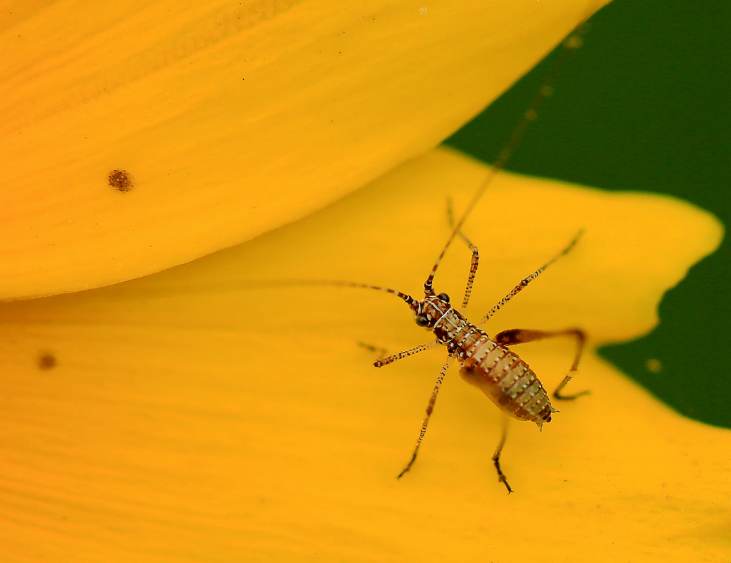 4F9A0477_ ...996K.jpg