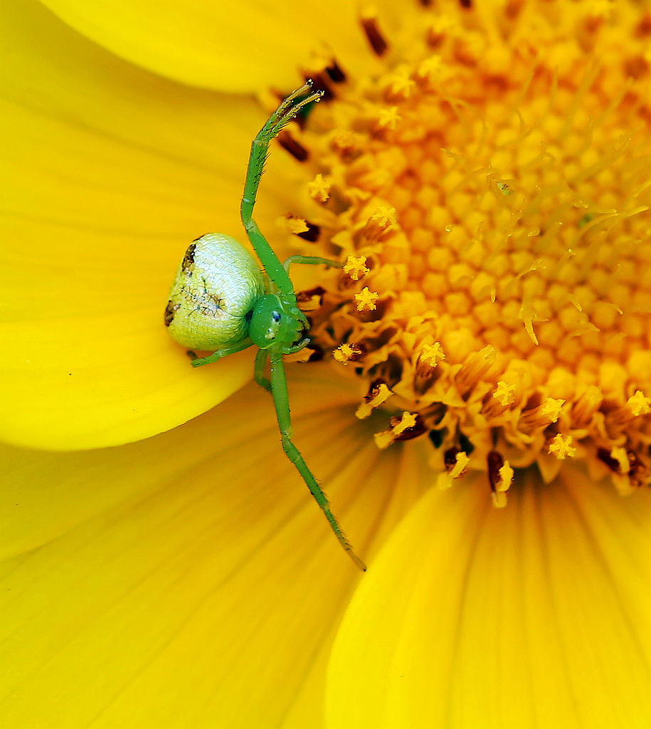 4F9A0310_ ...741K.jpg