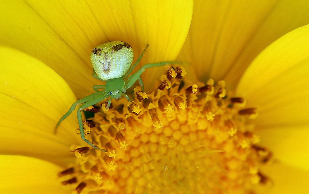 4F9A0312_ ...902K.jpg