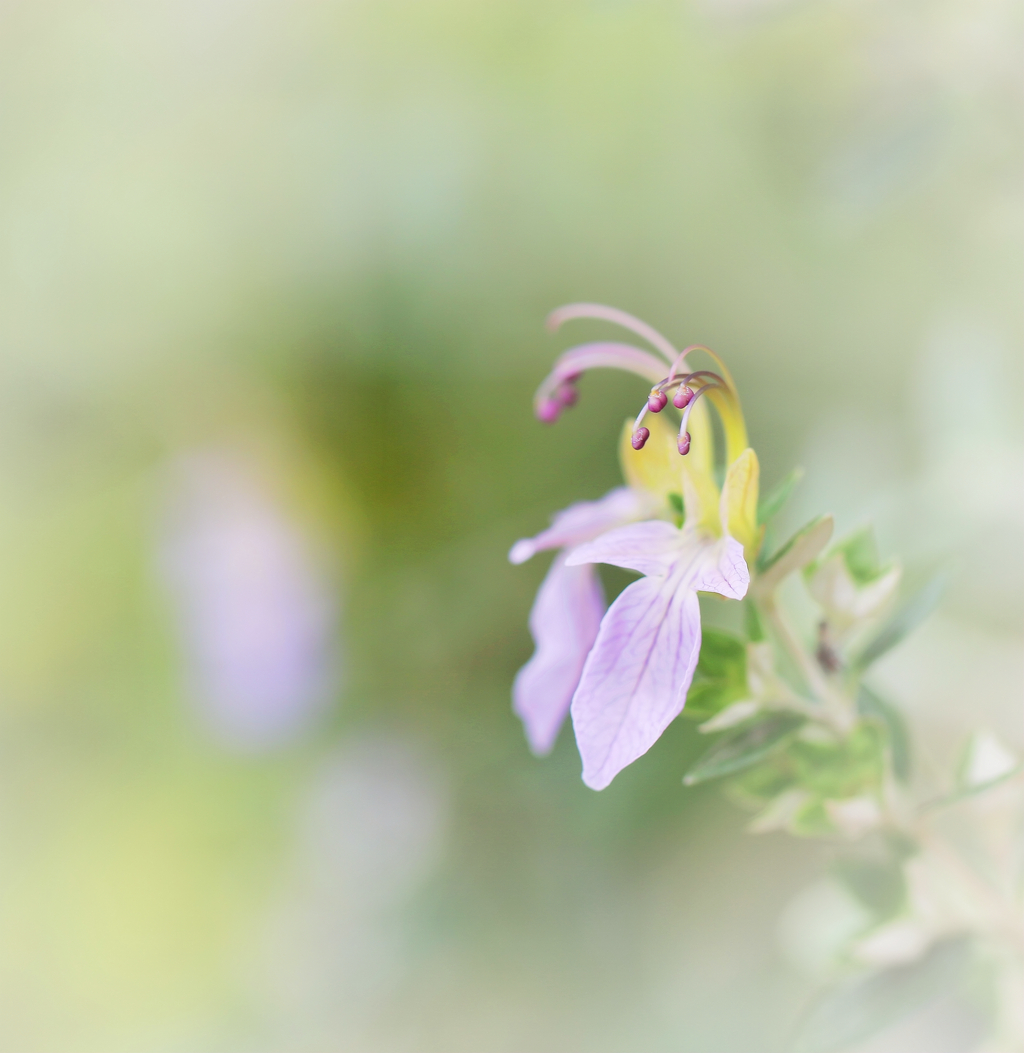 4F9A0440 .. 800K.jpg