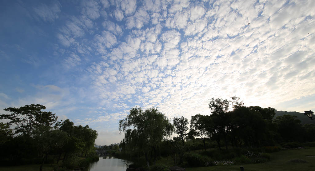 4F9A1524_ ...696K.jpg