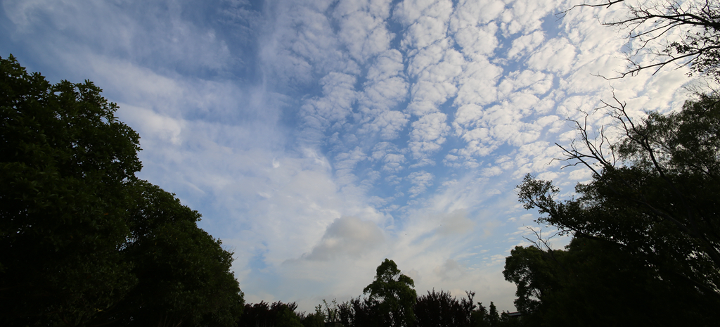 4F9A1542 .....602K.jpg