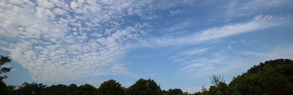 4F9A1544 .. 393k.jpg