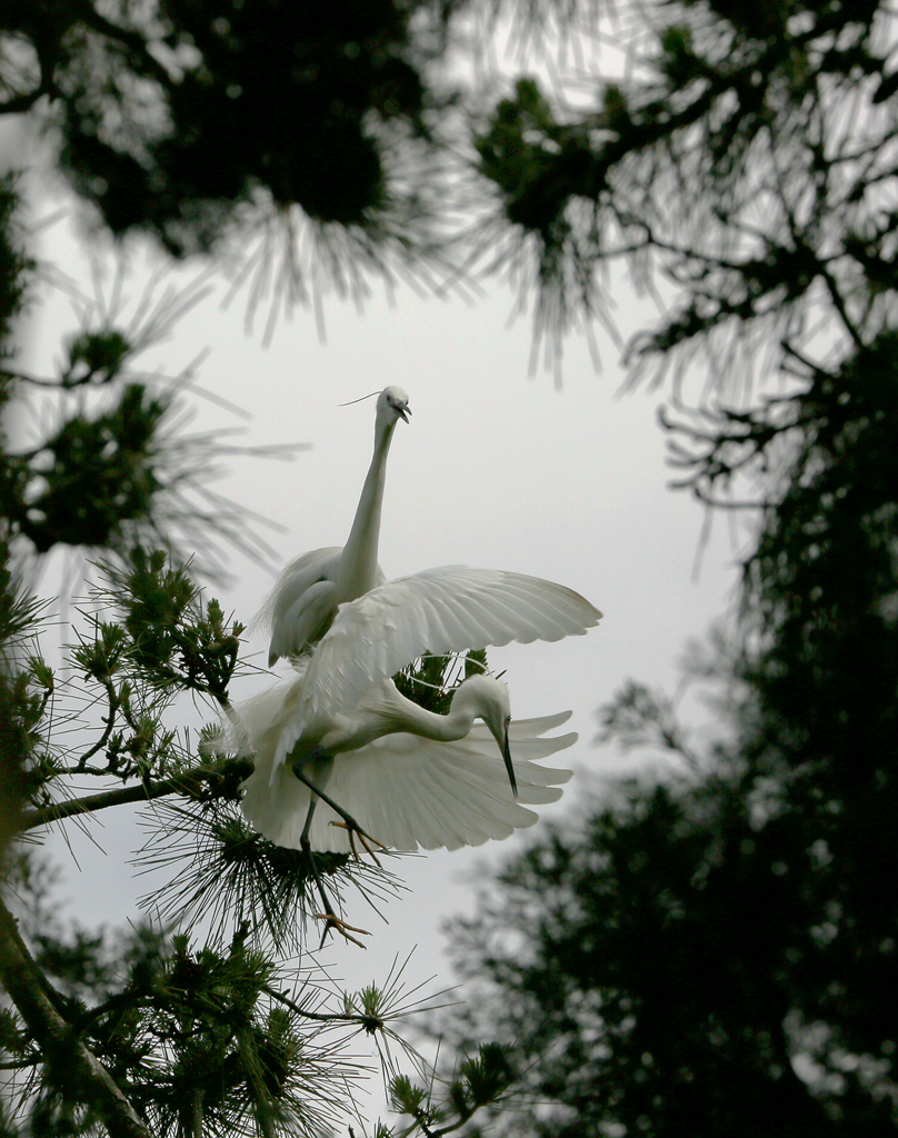 4F9A1899_.. 895K.jpg