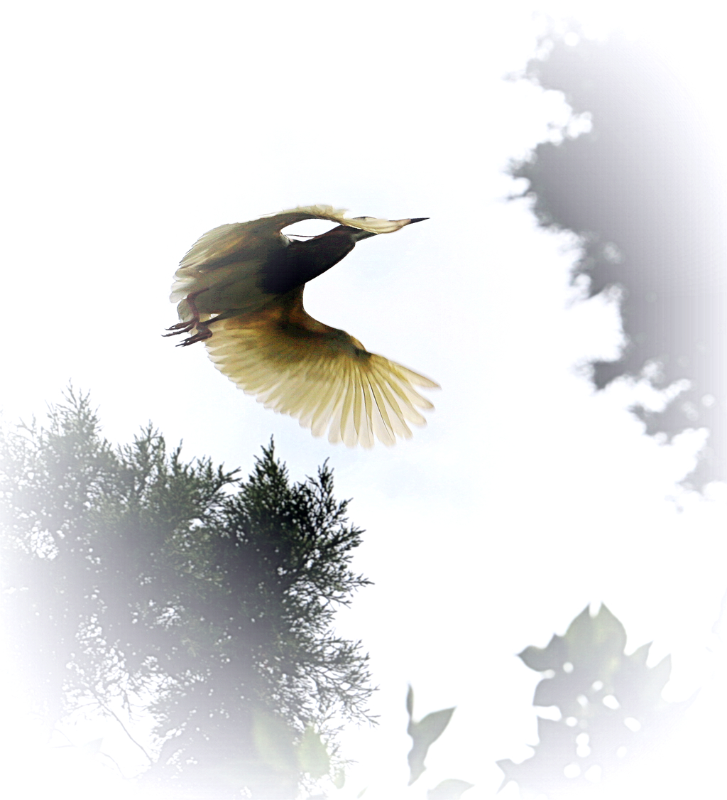 4F9A1762_ ...654K.jpg