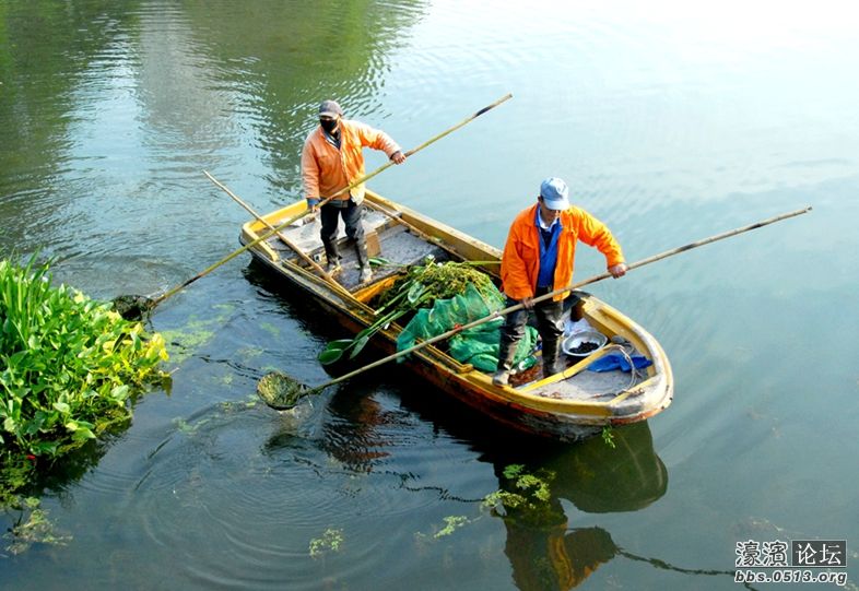 水面保洁员辛勤劳动.JPG