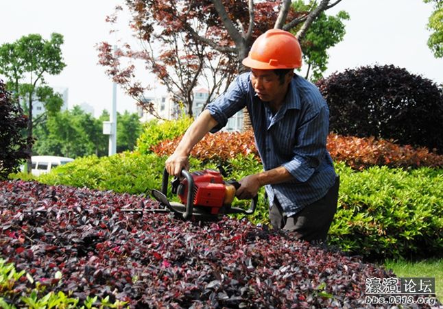 园林绿化工人.JPG