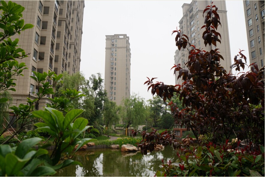 这里：柳绿桃红，湖色从容，素雅风采吸引您；（图三）——有湖光水色、有红叶绿植、有楼宇挺拔、有景观秀美 ...