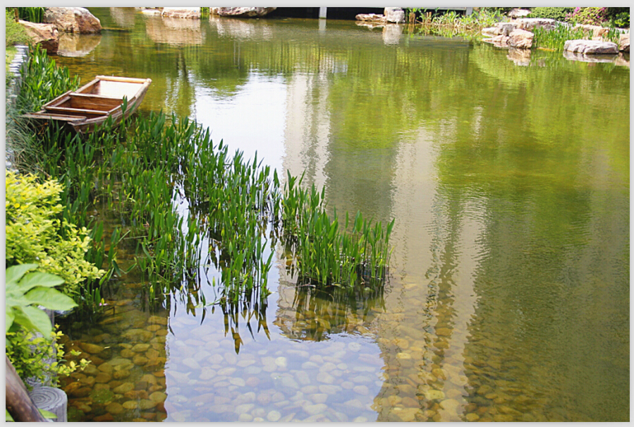 站在窗口朝下看，一叶扁舟