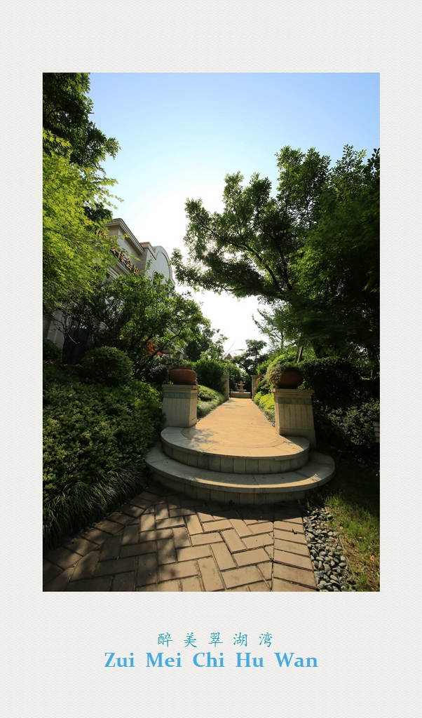 4F9A9950_ .. 877K.jpg