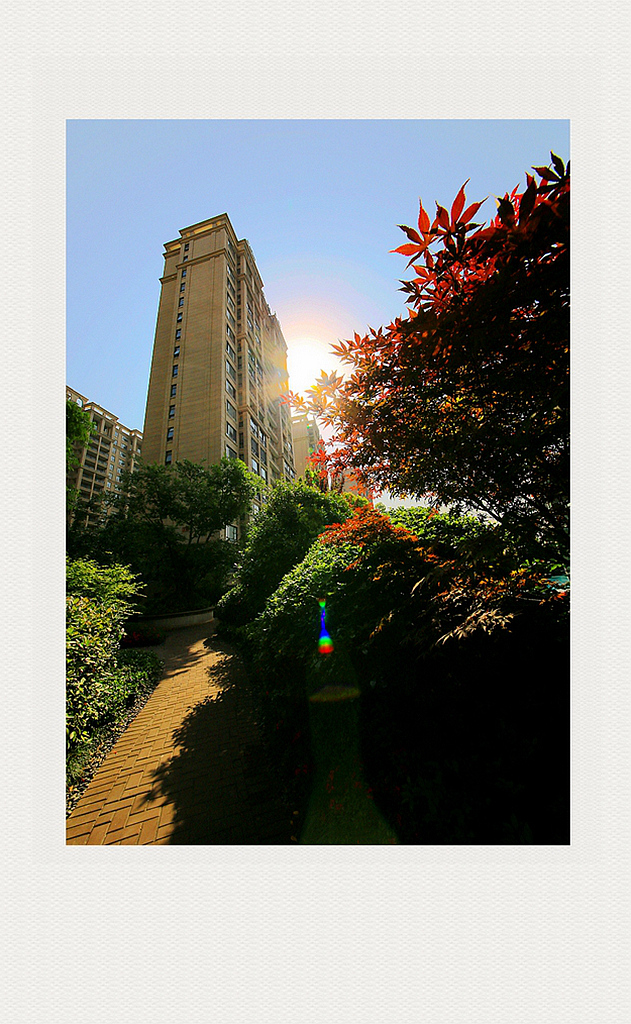 4F9A9972_  917K_.jpg