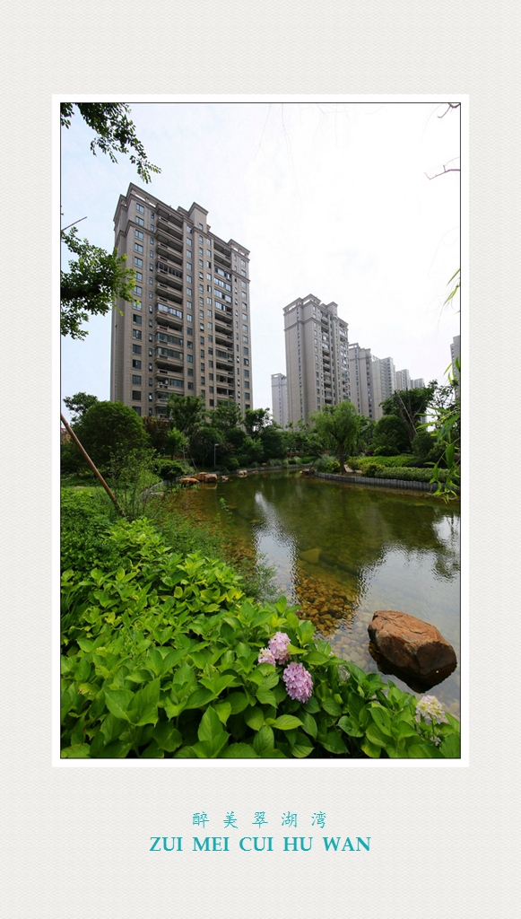 4F9A2431_.... 520K_U.jpg