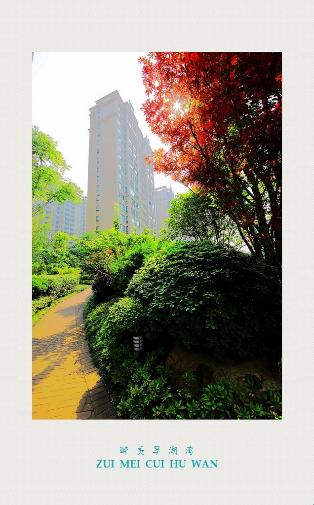 4F9A2076_ .. 948K__...U.jpg