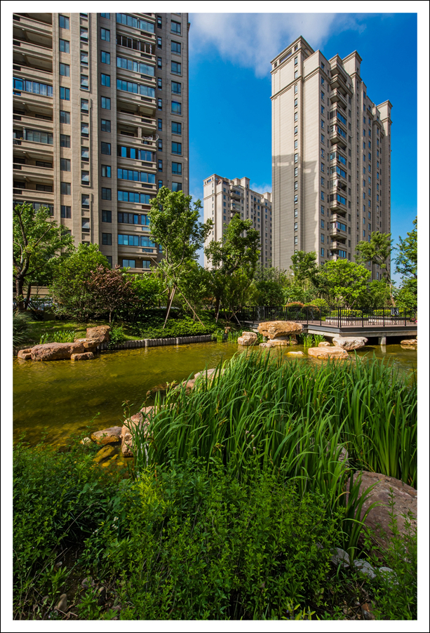 摄影：许锐 (16).jpg