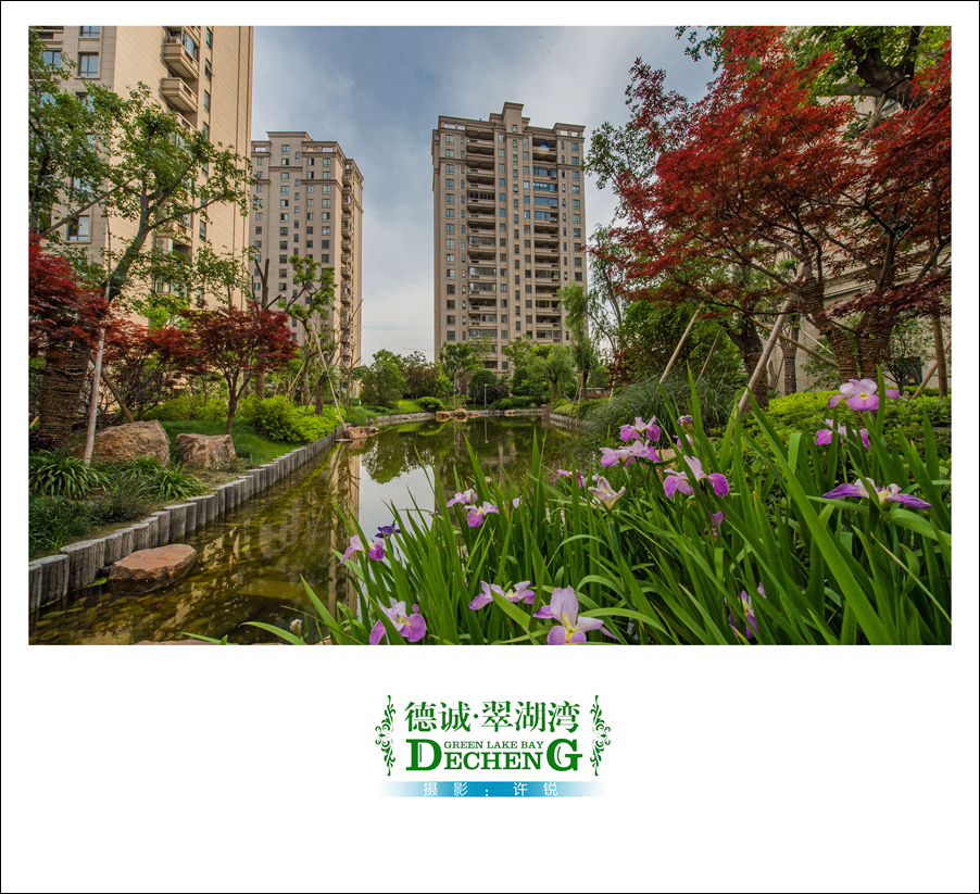 摄影：许锐 (35).jpg