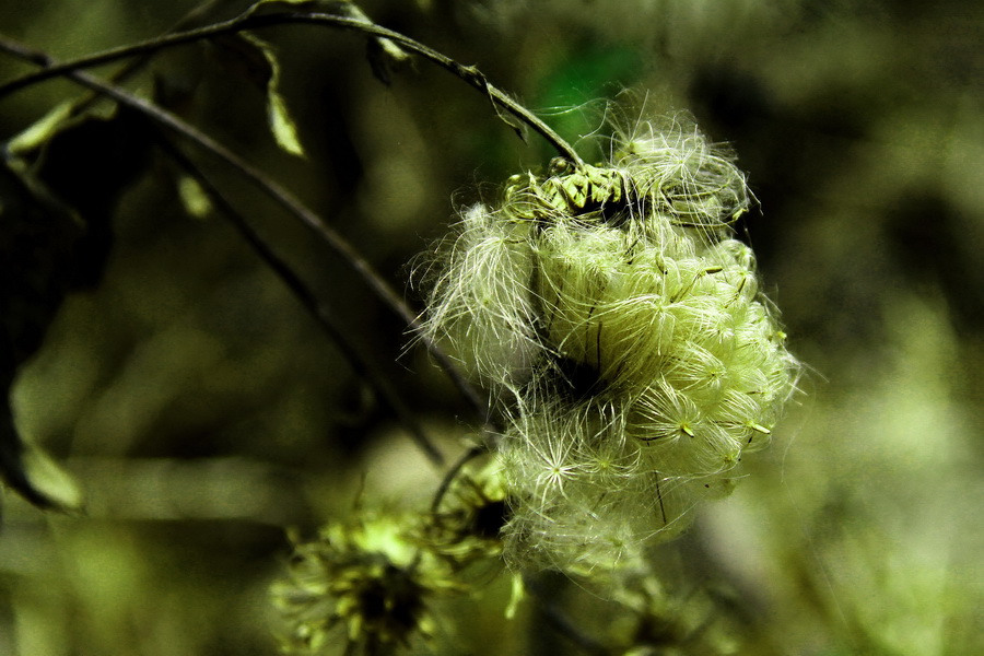 随拍 (2)_调整大小.JPG