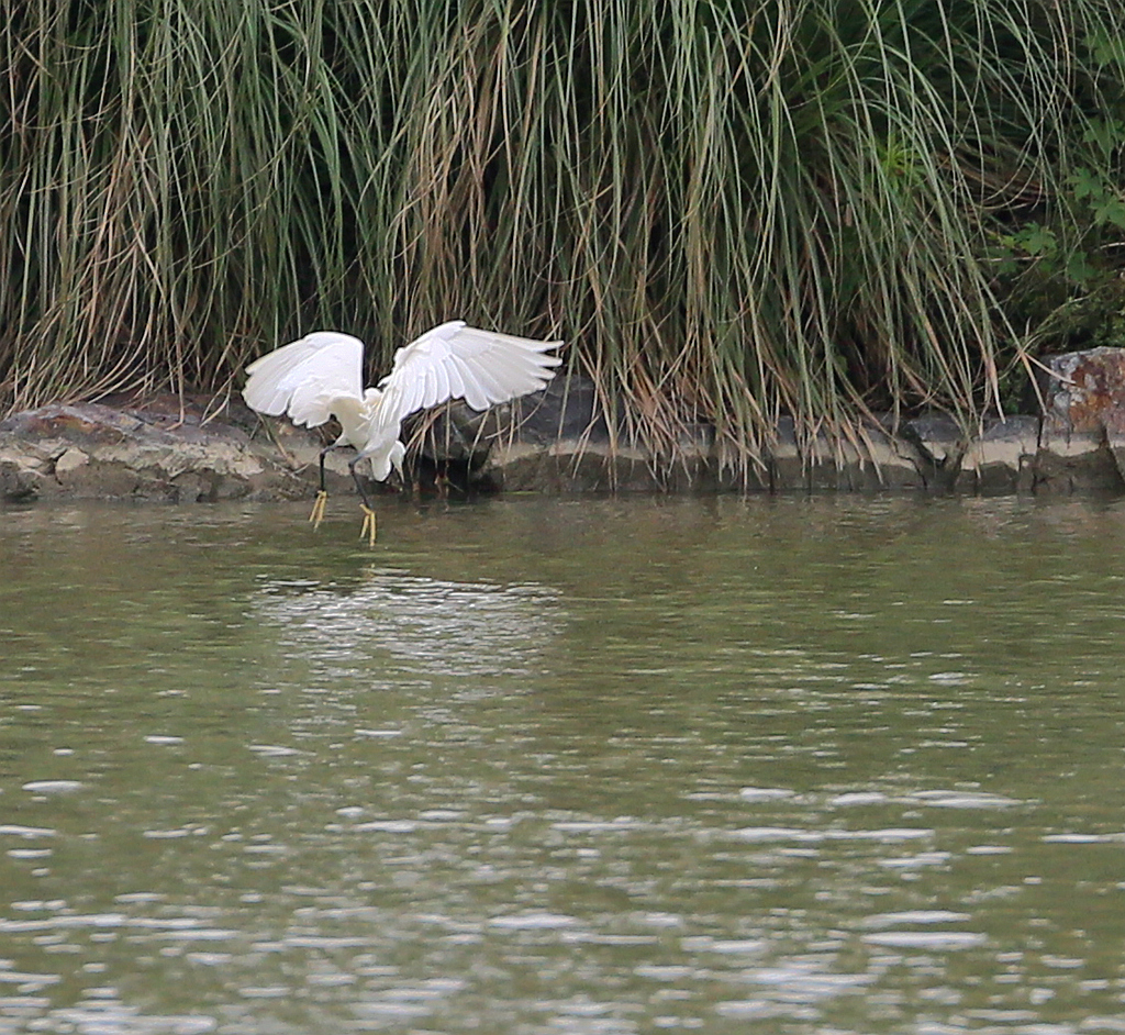 发现目标，出击