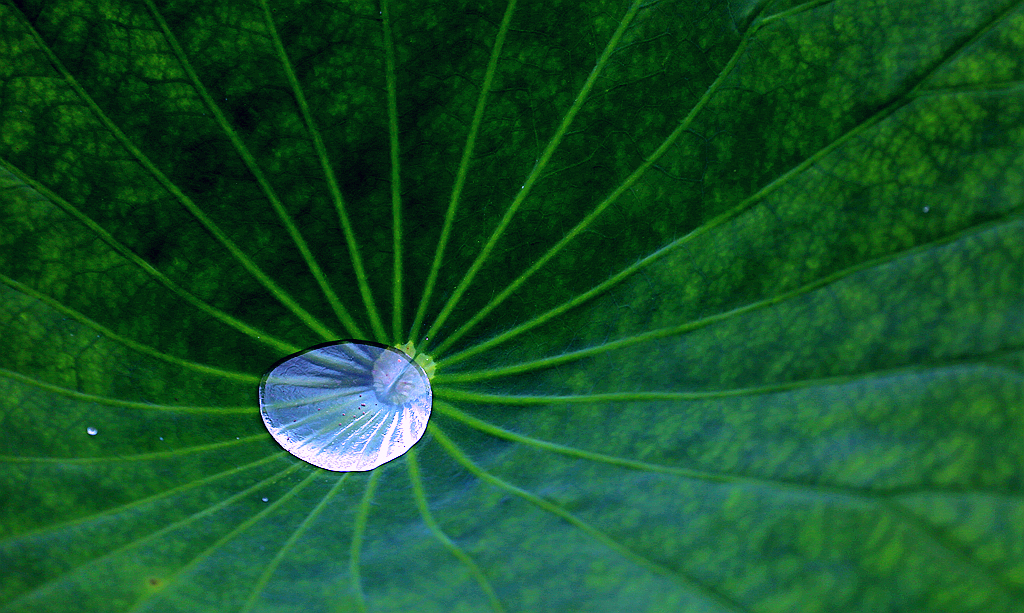 4F9A3777_ ..924k_.jpg