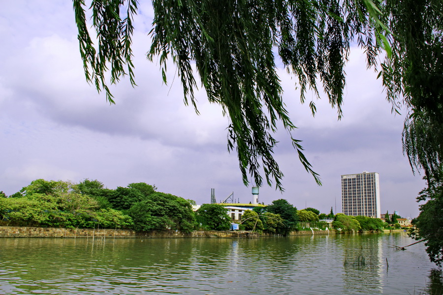 蓝天白云 169_调整大小.JPG