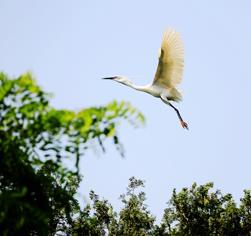 4F9A9861_ 1000...985K.jpg