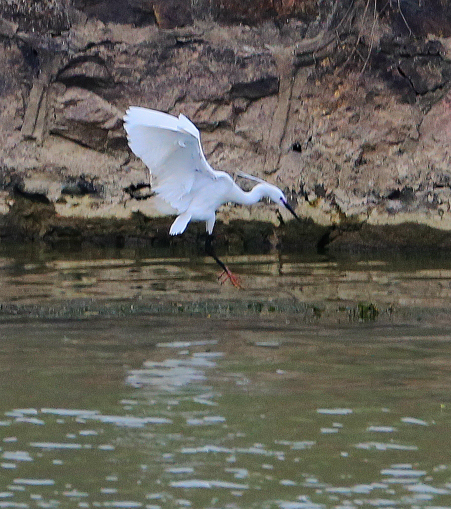 4F9A3126_ ...969KKK.jpg