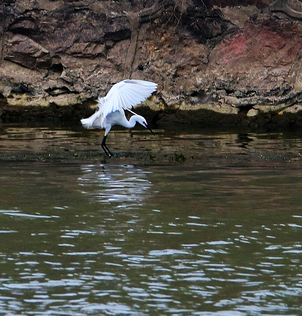 4F9A3127_ 854KKK.jpg