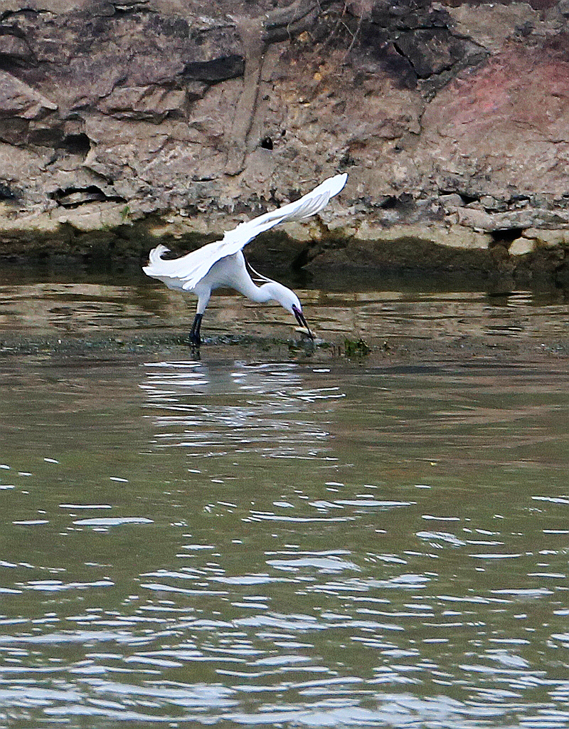 4F9A3128_ 878KKK.jpg