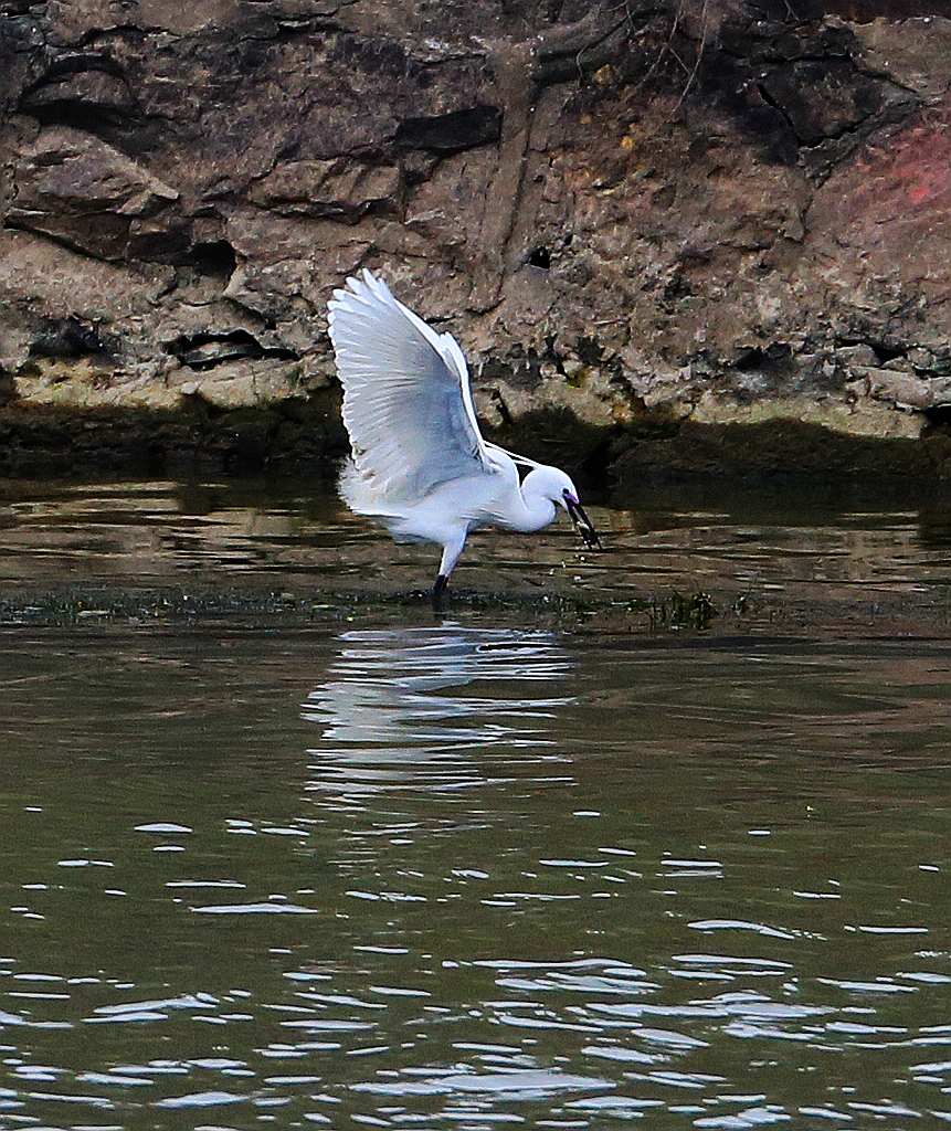 4F9A3129 ...908KKK_.jpg