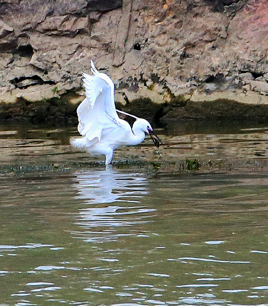 4F9A3130_ ...873KKK.jpg