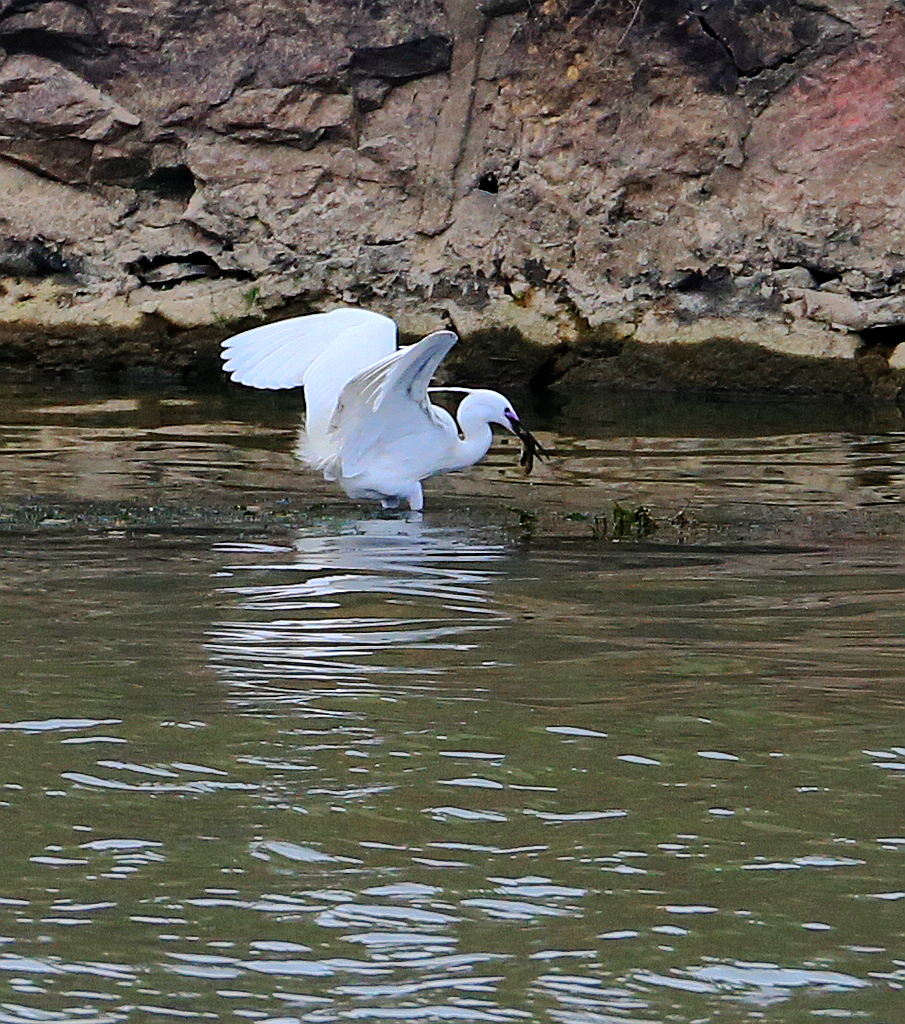 4F9A3135_ 882KKK.jpg