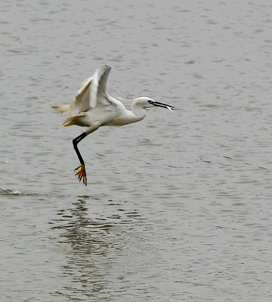 4F9A3228_ 641KKK.jpg