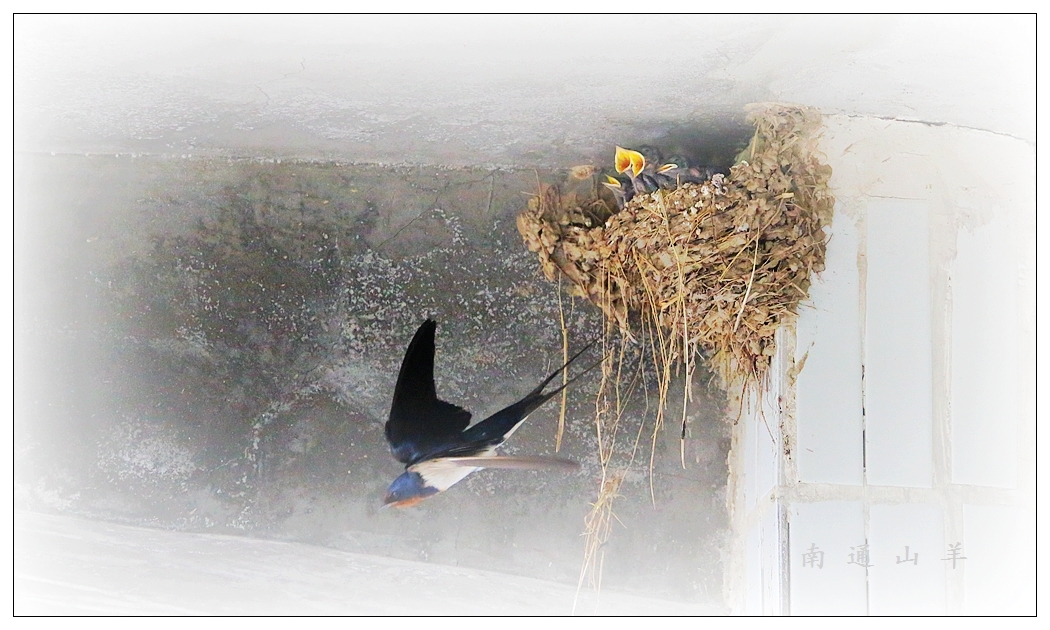 4F9A4498_ 883K.4.jpg