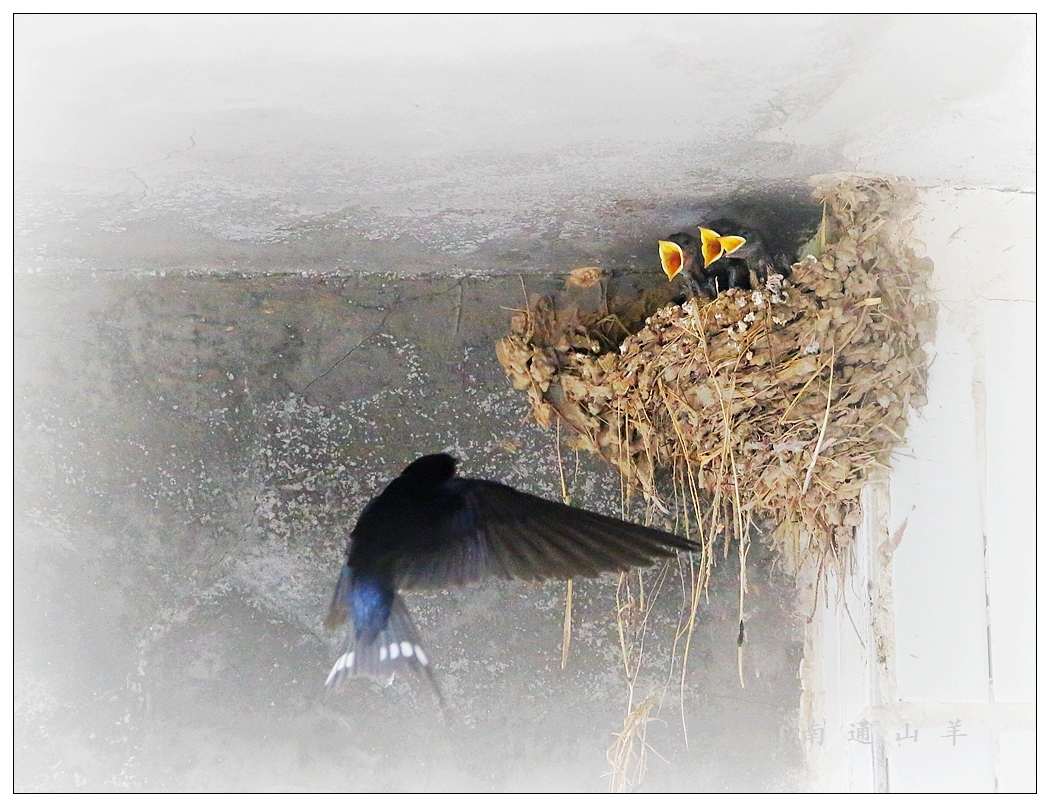 4F9A4504_ 998K..5.jpg