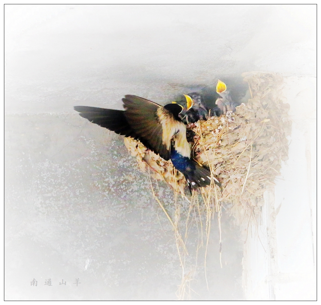 4F9A4575_ 972K__9.jpg