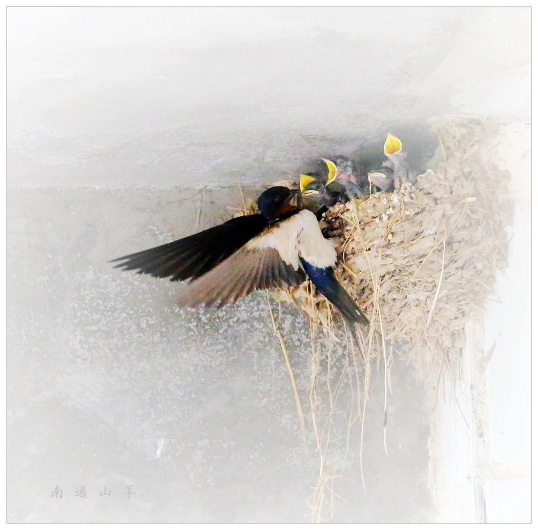 4F9A4576_ ..950K..10.jpg