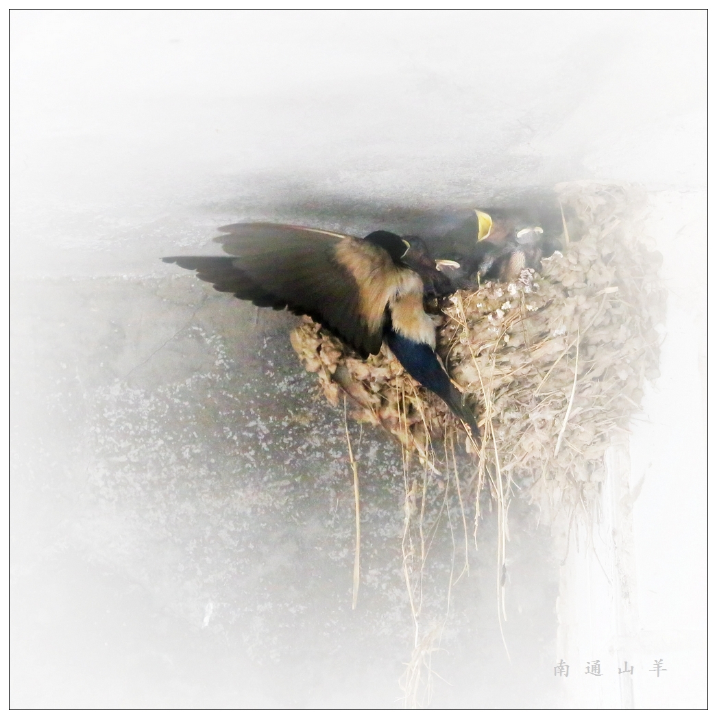 4F9A4660 ....994K..12.jpg